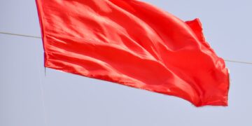 Red Flags in a Company